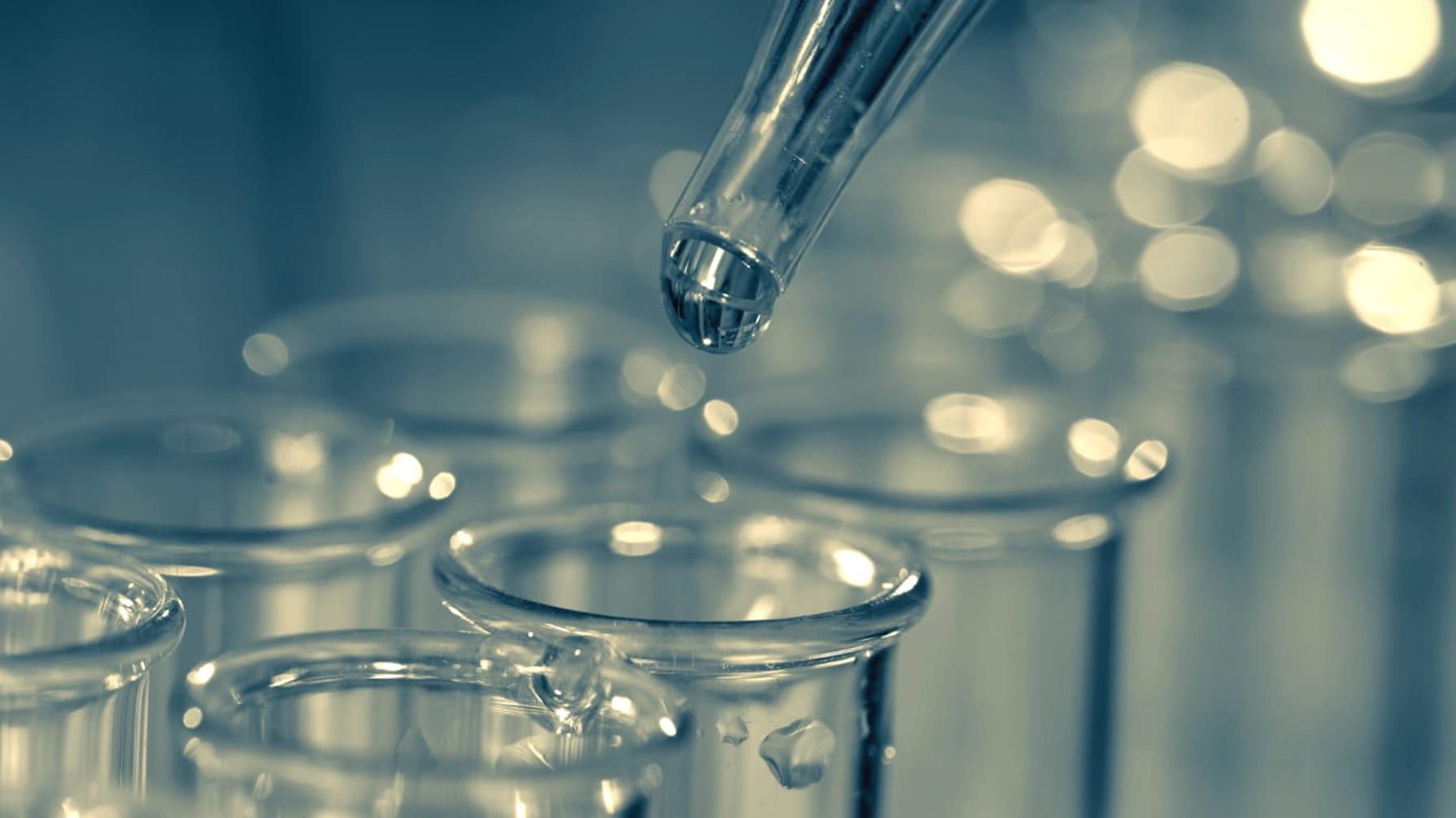 El Six-Pack toxicológico bajo guías OCDE y EPA