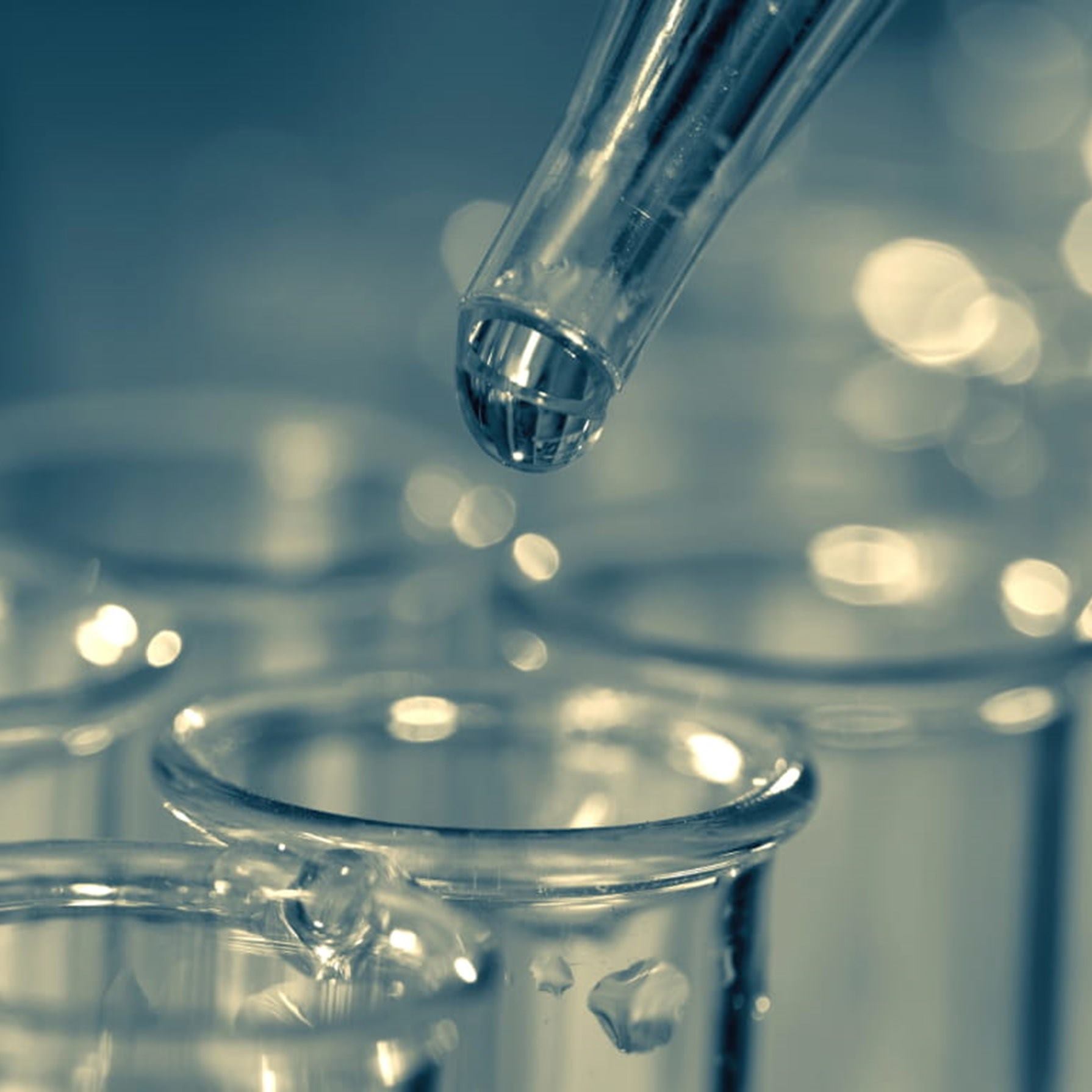 El Six-Pack toxicológico bajo guías OCDE y EPA